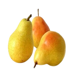 عرموط كبير مستورد 750 جم